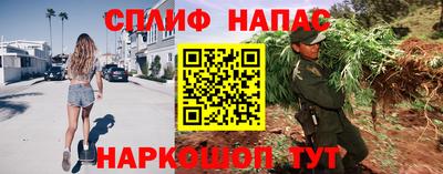 бошки Шебекино