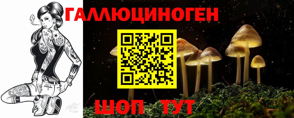 Псилоцибиновые грибы Psilocybe Коркино