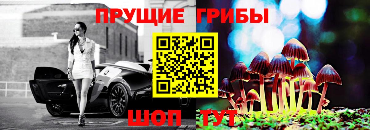 Коркино  Галлюциногенные грибы прущие грибы  Вход с VPN 